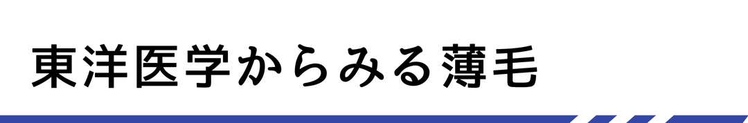 東洋医学からみる薄毛